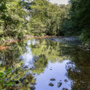 River Burn near Masham