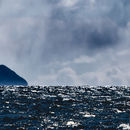 Storm over Ailsa Craig - panorama