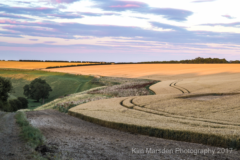 Late evening light over Yorkshire Wolds near Huggate