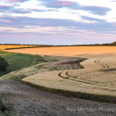 Late evening light over Yorkshire Wolds near Huggate