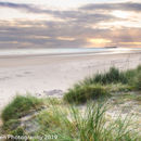 Farne island dawn