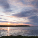 Half Day 1-2-1 Landscape Workshop