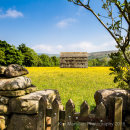 Wildflower meadow & Dales Barn - Muker - Swaledale