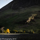 Last light