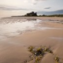 Bamburgh Castle & seaweed in early morning light