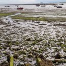 Lindisfarne harbour with Bamburgh Castle in the distance