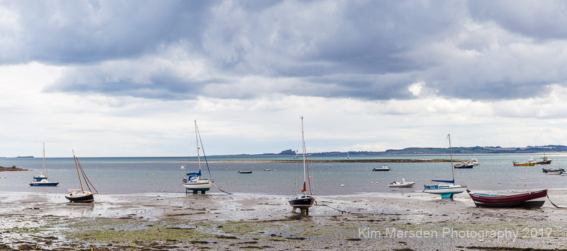 Lindisfarne harbour with Bamburgh Castle in the distance panorama