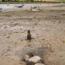 Alnmouth estuary