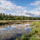 Cragside lake reflections