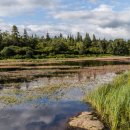 Cragside lake reflections