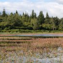 Cragside lake colours