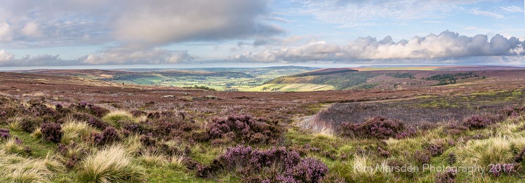 Late summer colour on the North York Moors Panorama