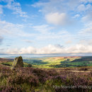 Late summer colour on the North York Moors