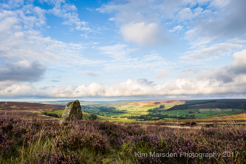 Late summer colour on the North York Moors