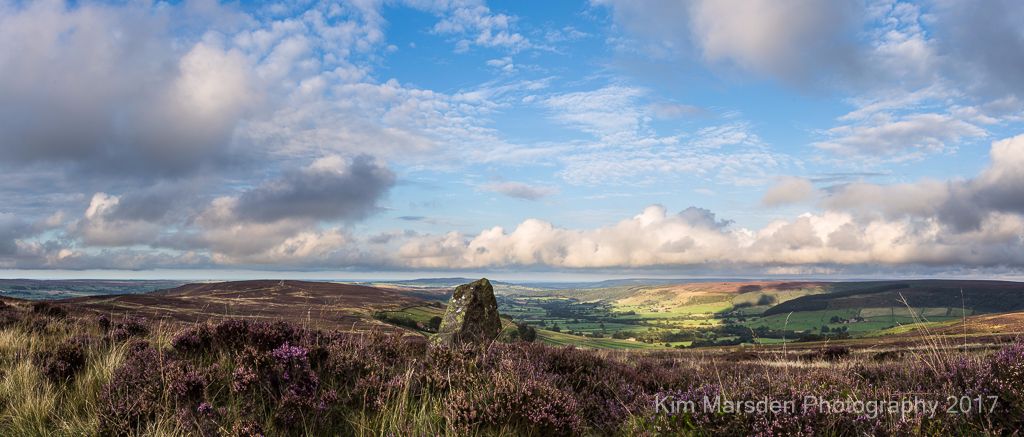 Late summer colour on the North York Moors Panorama