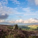 Late summer colour on the North York Moors Panorama