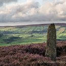Late summer colour on the North York Moors