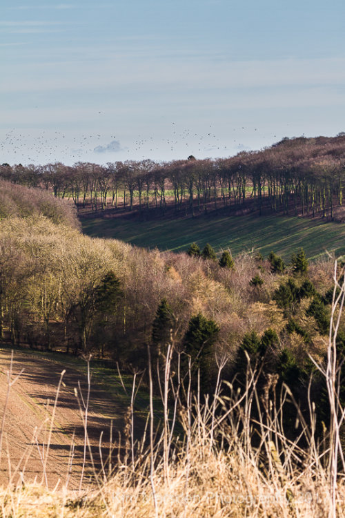 A walk on the Wolds