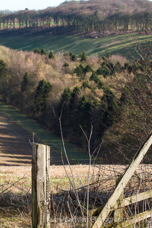 A view down the Dale