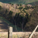 A view down the Dale