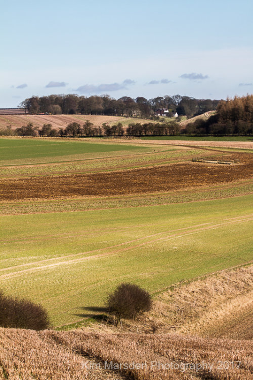 A view over the Wolds