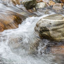 Crystal clear water