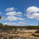 Pronie Loch - Nr Glenkindie, Scotland