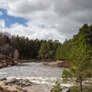 River Dee - May Lodge Estate