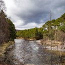 River Dee - May Lodge Estate