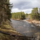 River Dee - May Lodge Estate