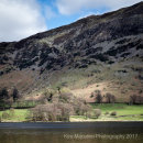 Sunlit trees, Ullswater