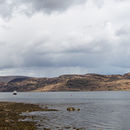Tighnabruaich - Bute (Pano)