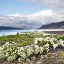 Otter Ferry, Loch Fyne, Scotland