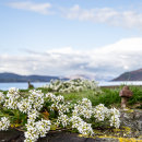 Otter Ferry jetty close up, Loch Fyne, Scotland