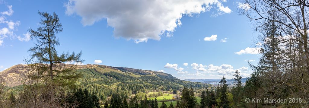 Towards Holy Loch from Benmore Botanic Gardens (Pano)