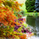 Colours of autumn