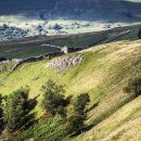 Swaledale in early evening light