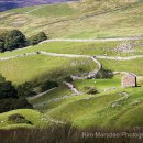Full Day 1-2-1 Landscape Workshop