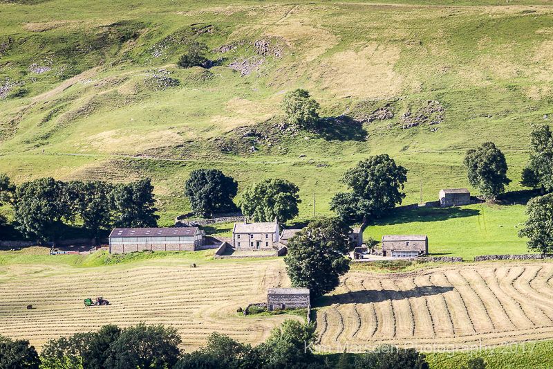 Swaledale at work as evening shadows lengthen