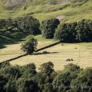 Evening work in Swaledale
