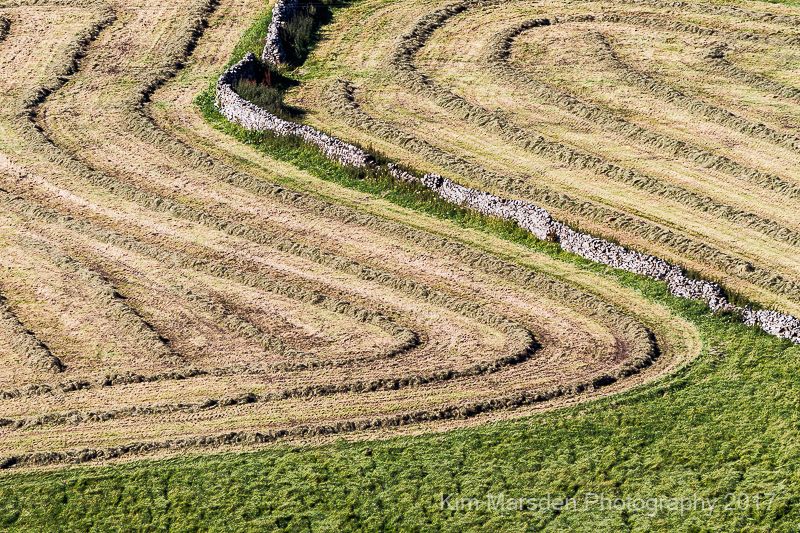 Swaledale patterns