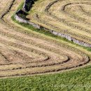 Swaledale patterns