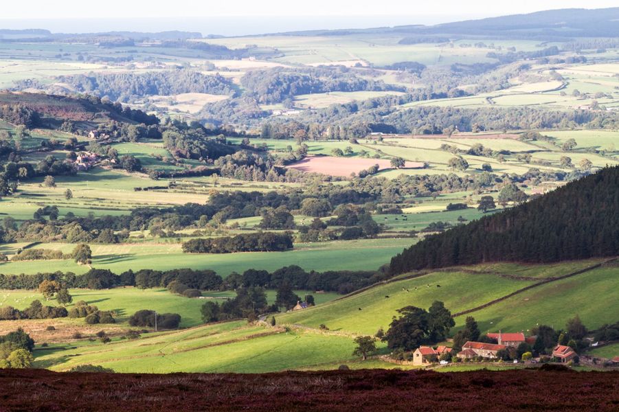 Small Group Landscape Workshop - Full Day - Yorkshire Coast & NY Moors