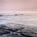 Sailing to the Farne Ilses