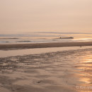 Golden light