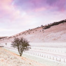 Millington Pastures on a frosty early morning