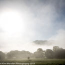Out of the mist
