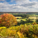 Autumn in Farndale
