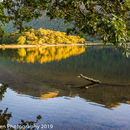 Reflected colours