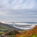 Mist in the distance